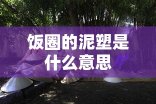 饭圈的泥塑是什么意思  第1张