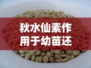秋水仙素作用于幼苗还是种子  第1张