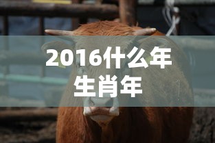 2016什么年生肖年  第1张