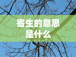 寄生的意思是什么  第1张