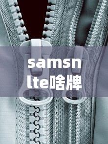 samsnlte啥牌子  第1张