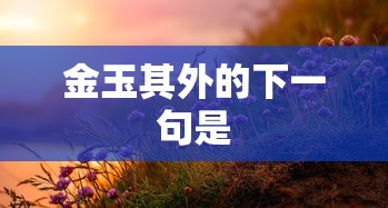 金玉其外的下一句是  第1张