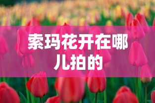索玛花开在哪儿拍的  第1张