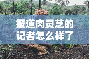 报道肉灵芝的记者怎么样了  第1张