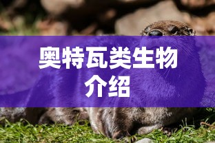 拆迁队属于哪个部门  第1张
