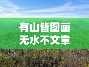 有山皆图画无水不文章的意思  第1张