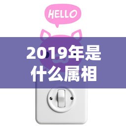 2019年是什么属相?  第1张