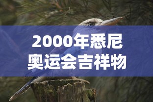 2000年悉尼奥运会吉祥物图片  第1张