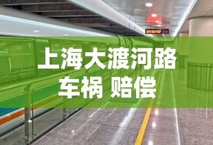 上海大渡河路车祸 赔偿  第1张