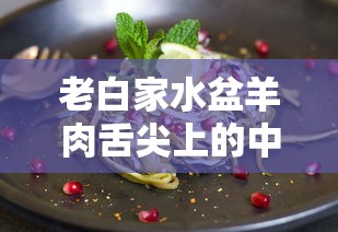 老白家水盆羊肉舌尖上的中国  第1张