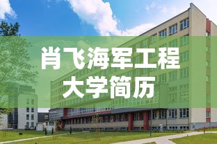 肖飞海军工程大学简历  第1张