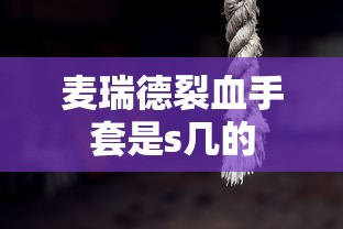 麦瑞德裂血手套是s几的  第1张