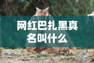 网红巴扎黑真名叫什么  第1张