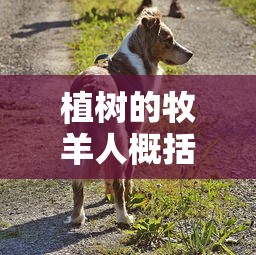 孤胆枪手2  第1张