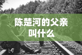 陈楚河的父亲叫什么  第1张