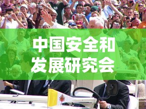 中国安全和发展研究会彭顺生  第1张