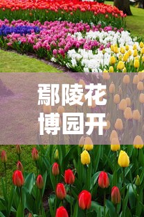 枪神传奇电视剧全集免费观看  第1张