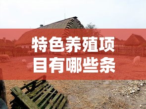特色养殖项目有哪些条件  第1张