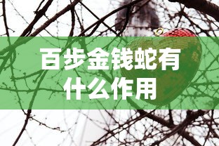 百步金钱蛇有什么作用  第1张