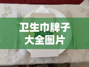 卫生巾牌子大全图片  第1张