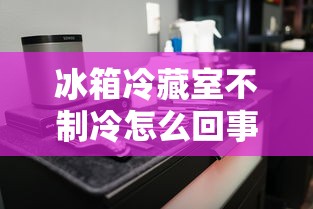 冰箱冷藏室不制冷怎么回事视频  第1张