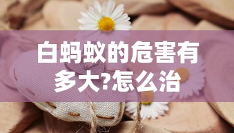 白蚂蚁的危害有多大?怎么治  第1张