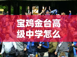宝鸡金台高级中学怎么样  第1张