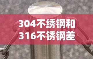 304不绣钢和316不锈钢差别保温杯  第1张