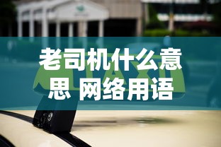 老司机什么意思 网络用语  第1张