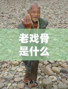 老戏骨是什么意思?  第1张