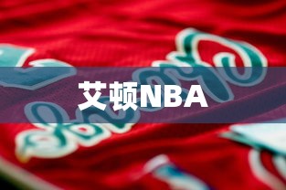艾顿NBA  第1张