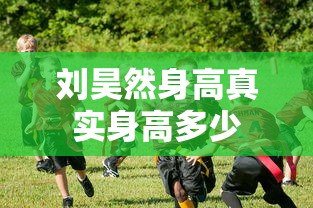 刘昊然身高真实身高多少  第1张