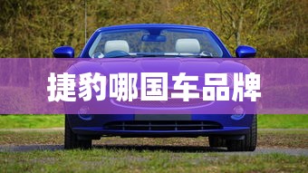 捷豹哪国车品牌  第1张