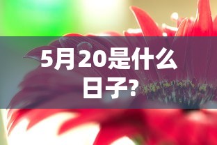 5月20是什么日子?  第1张