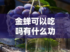 金蝉可以吃吗有什么功效  第1张