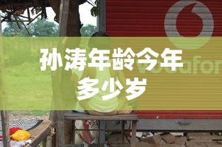 孙涛年龄今年多少岁  第1张