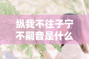 纵我不往子宁不嗣音是什么意思  第1张