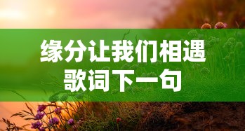 缘分让我们相遇歌词下一句  第1张