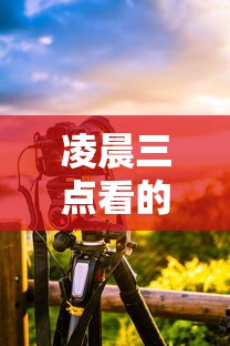 凌晨三点看的片韩国在线观看  第1张