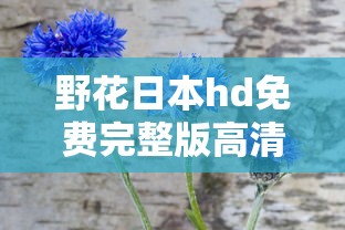 野花日本hd免费完整版高清版的功能  第1张