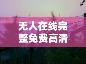 无人在线完整免费高清观看照片  第1张