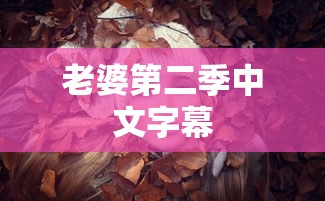 老婆第二季中文字幕  第1张