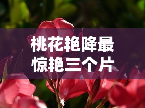 桃花艳降最惊艳三个片段  第1张