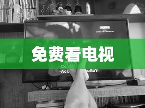 免费看电视  第1张