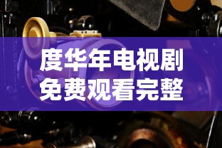 度华年电视剧免费观看完整版高清星辰影院  第1张