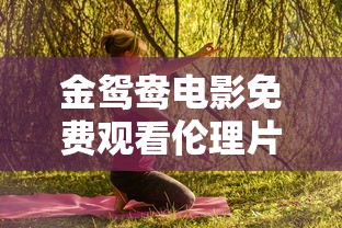 金鸳鸯电影免费观看伦理片  第1张