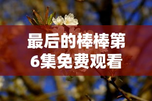 最后的棒棒第6集免费观看樱花  第1张