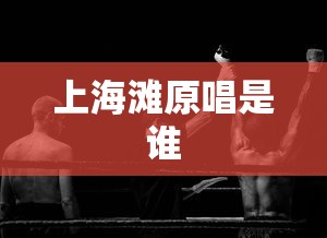上海滩原唱是谁  第1张