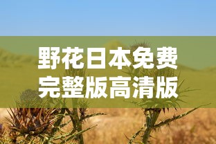 野花日本免费完整版高清版HD  第1张