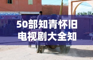 50部知青怀旧电视剧大全知青时代  第1张